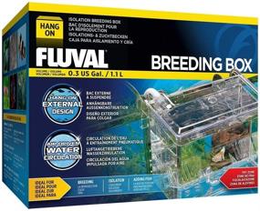 img 4 attached to 🐠 Fluval Multi-Chamber Holding and Breeding Box: Medium - Optimal Solution for Fish Care and Breeding