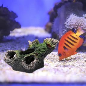img 1 attached to 🐠 Aquarium Fish Tank Decoration Tree Trunk Ornament: Enhance Your Tanks with Plastic Plants, Hideouts, and Caves - Resin Double Trunks for Aquarium Decorations