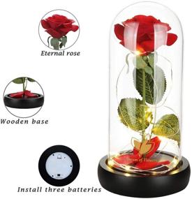 img 3 attached to Forever Lasting Beauty and The Beast Rose in Glass Dome - 🌹 Unique Gift for Her, Ideal for Christmas, Weddings, Valentine's Day, Anniversaries, and Birthdays