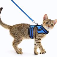 🐈 rabbitgoo reflective cat harness and leash for small cats - escape-proof no choke vest harness with magic tapes and double clips, ideal for kitty safety during outdoor activities логотип