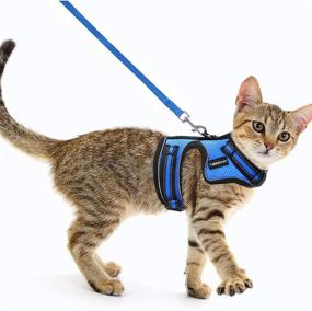 img 4 attached to 🐈 rabbitgoo Reflective Cat Harness and Leash for Small Cats - Escape-Proof No Choke Vest Harness with Magic Tapes and Double Clips, Ideal for Kitty Safety during Outdoor Activities