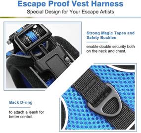 img 2 attached to 🐈 rabbitgoo Reflective Cat Harness and Leash for Small Cats - Escape-Proof No Choke Vest Harness with Magic Tapes and Double Clips, Ideal for Kitty Safety during Outdoor Activities