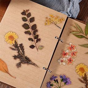 img 2 attached to 🌼 160PCS Vintage Plant Flowers Leaves Stickers for Scrapbook, Planner, Laptop, and Diary Decoration - MAXLEAF (Wild Flower)