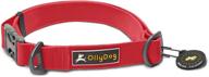 🐾 ollydog tilden collar: waterproof, stink-proof webbing, easy to clean, perfect for water-loving dogs logo