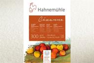 🎨 hahnemuhle cezanne watercolor block | matte surface | 11.75x15.5 inches | 300gsm | 10 sheets logo