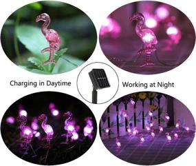 img 2 attached to 🌸 Enhance Your Outdoor Ambiance with HDNICEZM Solar Outdoor Flamingo String Lights - 15.8 FT 30 LED Solar Flamingo Fairy Lights in Cold White for Garden, Patio, Gate, Yard, Party, Wedding & More!