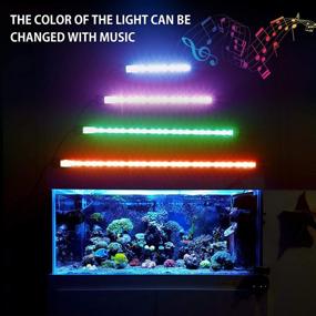 img 3 attached to 🐠 Enhance Your Aquarium with our Upgraded Version LED Aquarium Light: Underwater RGB LED Lights for Fish Tank, 16 Million Vibrant Colors, Remote Controller & APP Control Included