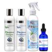kaleidoscope moisture shampoo conditioner leave logo