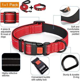 img 2 attached to Enhanced Safety and Comfort: Reflective Nylon Dog Collar with Soft Neoprene Padding for Small, Medium, and Large Dogs