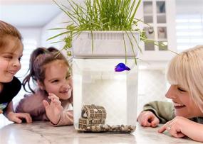 img 3 attached to 🐟 Back to the Roots Water Garden: Self-Cleaning Fish Tank & Food-Growing Aquaponic Ecosystem (3 Gallons) - Perfect Gardening Gift &amp; Fun Family Project!