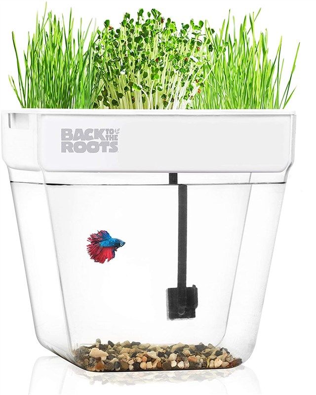 back roots gardening aquaponic ecosystem 로고