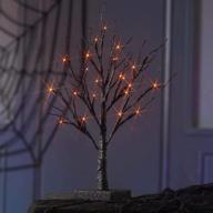 🎃 birchlitland lighted spooky halloween decoration tree 24led orange lights 18in battery powered with timer - indoor tabletop black tree for office christmas halloween decor логотип