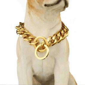 img 4 attached to Premium Loveshine 18K Gold Cuban Link Dog Chain Collar- Heavy Duty & Stylish Slip Dog Collar for Dogs (10in to 26in)