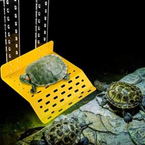 img 2 attached to Floating Platform Decorative Tortoise Accessory