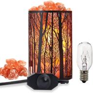 🔴 enhance your space with retro red salt lamps - natural himalayan salt lamp with dimmer switch & extra 25w lamp bulbs логотип