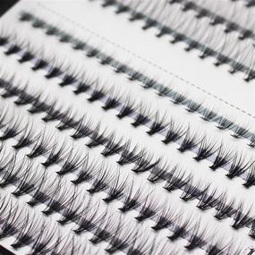img 3 attached to 💫 Scala 240pcs 10/20 Roots Mixed Eyelashes - C Curl, 0.07mm /0.10 mm - 8-12mm & 10-14mm - Natural Soft Lashes for Individual Eyelash Extension (8-12mm Mixed)