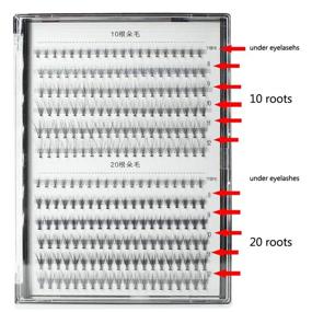 img 2 attached to 💫 Scala 240pcs 10/20 Roots Mixed Eyelashes - C Curl, 0.07mm /0.10 mm - 8-12mm & 10-14mm - Natural Soft Lashes for Individual Eyelash Extension (8-12mm Mixed)