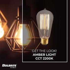 img 3 attached to 💡 Bulbrite 134019 40W Vintage Edison Squirrel Cage-style Bulb