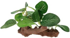 img 1 attached to Enhance Your Aquarium with Lifelike Bitray Plastic Artificial Water Grass Decoration (Oval Leaf) in Green