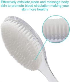 img 3 attached to Translucent Handle Mczxon Bath Body Back Shower Brush with Curved Long Handle for Exfoliating Skin, Enhancing Blood Circulation, Back Scrubber Bath Shower Wet or Dry Brushing Body Brush