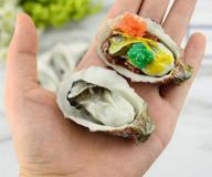 htfgnc artificial shellfish photography decoration logo