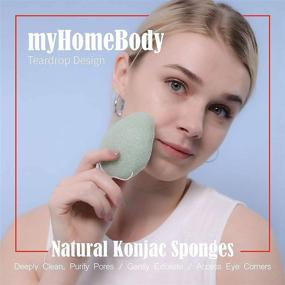 img 2 attached to 🧽 4pc Set of Natural Konjac Facial Sponges – Teardrop Shape, Infused with Activated Charcoal and Aloe Vera, for Gentle Face Cleansing and Exfoliation