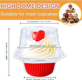 img 3 attached to 🧁 50PCS Upgraded Individual Cupcake Containers - Single Compartment Cupcake Carriers - Stackable Design - Deep Dome - Clear Plastic - BPA-Free - Perfect for Favor Party, Birthday, Wedding, and Holiday Events