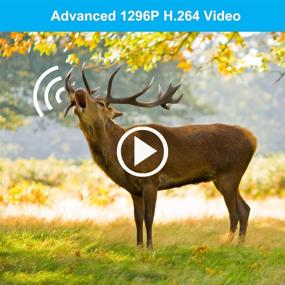 img 2 attached to 📷 Meidase P50 Камера наблюдения за дичью (2021) - 32МП Ультра-быстрая камера со встроенной системой движения и ночной видимостью для изучения животного мира, охоты на оленей и домашней безопасности