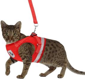 img 2 attached to Escape Proof Kitten and Puppy Harness Set with Leashes 🐱 - Adjustable Reflective Mesh Vest for Outdoor Activities with Rabbit and Ferrets