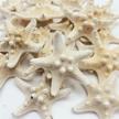 pepperlonely natural knobby armored starfish logo