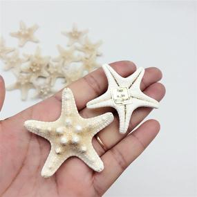 img 3 attached to PEPPERLONELY Natural Knobby Armored Starfish