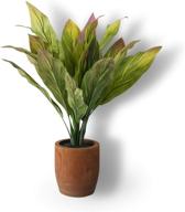 🌿 yihe home fake plants - artificial tree outdoor plants with plant pots hosta for home office farmhouse bathroom indoor &amp; outdoor realistic greenery decor (potted) логотип