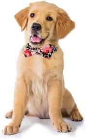 img 1 attached to 🐶 Vaburs Fancy Dog Collar with Bowtie: Stylish Adjustable Pet Bowtie Collar for Dogs of All Sizes