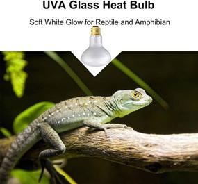 img 1 attached to 100W Reptile Basking Spot Bulb - Infrared Heat Lamp for Bearded Dragon and Reptiles - Red Heat Lamp Bulbs for Amphibians - 1 Pack (White)