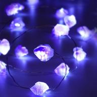 🔮 10ft purple amethyst crystal stone fluorite string light with 40 leds – battery powered, 12 modes, remote control, timer decor for wedding, birthday party, holiday, festive home, bedroom, garden логотип