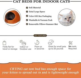 img 3 attached to 🐱 Creating Cozy Cat Beds for Indoor Cats - Cat House Tent Cave with Washable Cushioned Pillow and Summer Mat, Kitten Beds Cat Hut, Orange, 16.9X16.3X12.7 inches