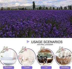 img 1 attached to 🌸 Dried Lavender Flowers - Fragrant Lavender Buds Wholesale, Ideal for Wedding Toss, Crafts, Sachets - 1/2 Pound Bulk