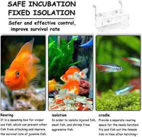 img 2 attached to ATPWONZ Isolation Incubator Clownfish Aggressive