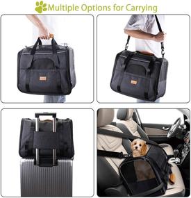 img 2 attached to 🐾 Morpilot Pet Travel Carrier Bag - Portable Folding Fabric Pet Carrier for Dogs and Cats- Airline Approved with Locking Safety Zippers, Foldable Bowl Included