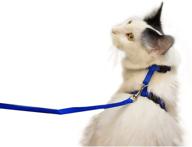 🐶 navy blue adjustable nylon pet harness, collar, and leash set for cats and small dogs logo