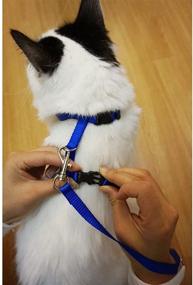 img 2 attached to 🐶 Navy Blue Adjustable Nylon Pet Harness, Collar, and Leash Set for Cats and Small Dogs