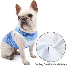 img 2 attached to 🌞 Stay Cool and Calm: Dog Cooling Vest Harness for Anxiety Relief and Sun Protection