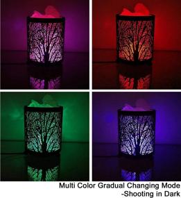 img 2 attached to 🌿 HOMY Natural Himalayan Salt Lamp in Forest Design with Metal Basket, Salt Rocks, and 3Watts LED Bulb in 54inches USB Cable | Multi Color Gradual Changing Mode & Warm Light Keeping Mode | Great Decor & Best Gift