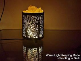 img 3 attached to 🌿 HOMY Natural Himalayan Salt Lamp in Forest Design with Metal Basket, Salt Rocks, and 3Watts LED Bulb in 54inches USB Cable | Multi Color Gradual Changing Mode & Warm Light Keeping Mode | Great Decor & Best Gift