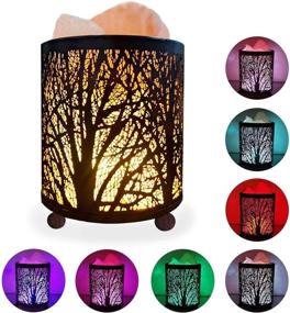 img 4 attached to 🌿 HOMY Natural Himalayan Salt Lamp in Forest Design with Metal Basket, Salt Rocks, and 3Watts LED Bulb in 54inches USB Cable | Multi Color Gradual Changing Mode & Warm Light Keeping Mode | Great Decor & Best Gift