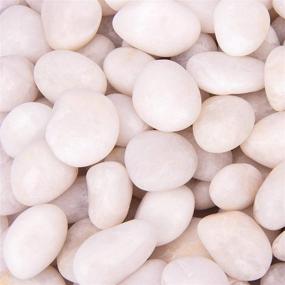 img 4 attached to 🪨 18-Pound White Decorative Pebbles River Rock Aquarium Gravel - Enhancing Gardens & Landscaping, Naturally Polished Decorative Gravel, White Decorative Stones, Pebbles for Ornamental Gardens - CFKJ (White)