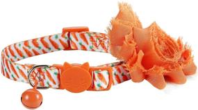 img 4 attached to BoomBone Orange Collar Designer Carrot