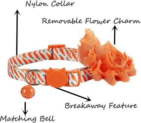 img 2 attached to BoomBone Orange Collar Designer Carrot