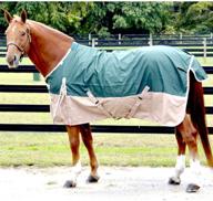 🌧️ intrepid international free runner turnout rain sheet: waterproof horse blanket for ultimate freedom logo