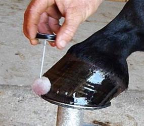 img 2 attached to 🐴 Revive Hoof Health: SBS Equine Item 307 Brush-on Size Hoof Treatment